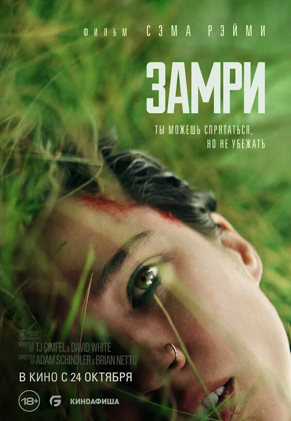 Замри постер